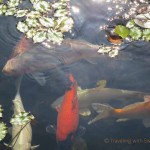 Grand Wailea Art: It's in Their DNA