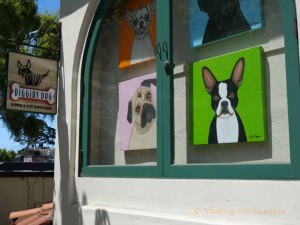 "Diggidy Dog, a dog and cat boutique in Carmel, California"