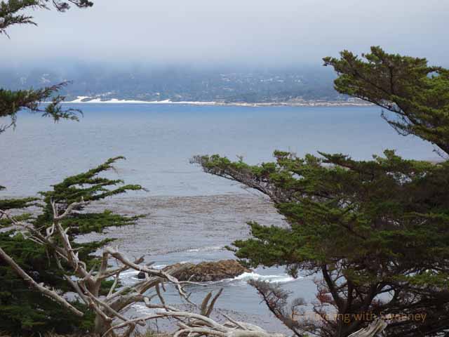 "View of Carmel from across the bay at Point Lobos State Natural Reserve"