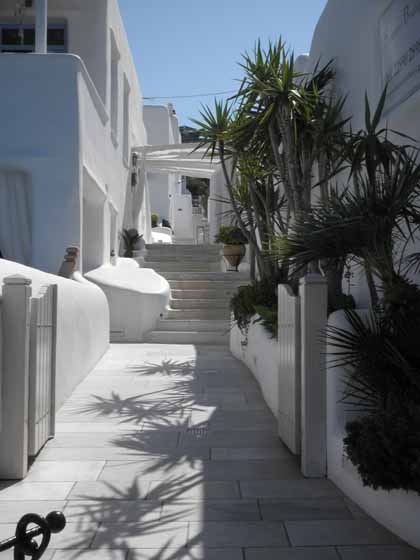 "Beautiful homes and palm trees of Mykonos"