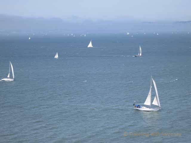 "Sailboats on San Francisco Bay"