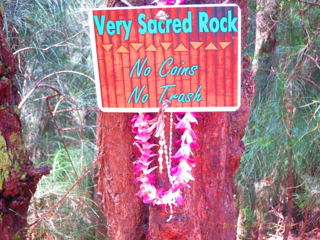 "Sign on tree near Kauleonanahoa: Very Sacred Rock"