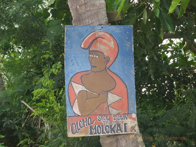 "Sign near Macadamia Nut Plantation: Slow Down, This is Molokai"