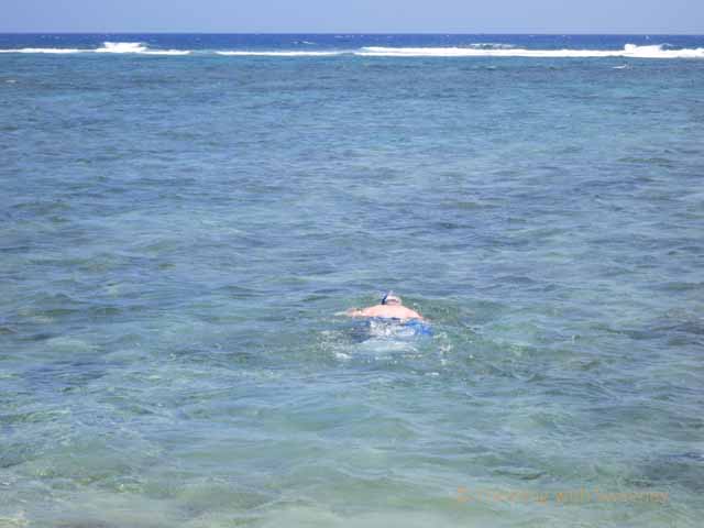 "Snorkeling in Molokai"