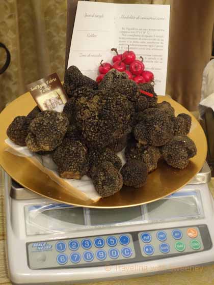 "Black Truffles at Sant'Agata Feltria Tartufi"