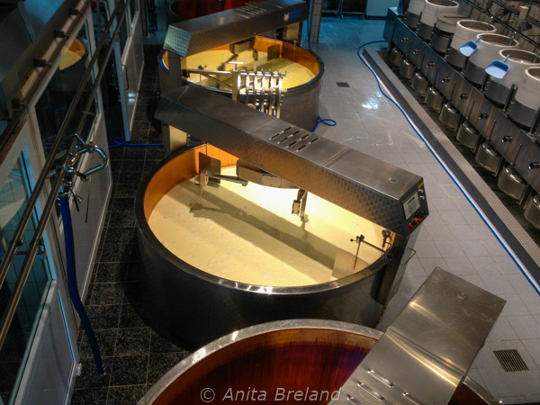 "Cheese-making vats at La Maison du Gruyère"