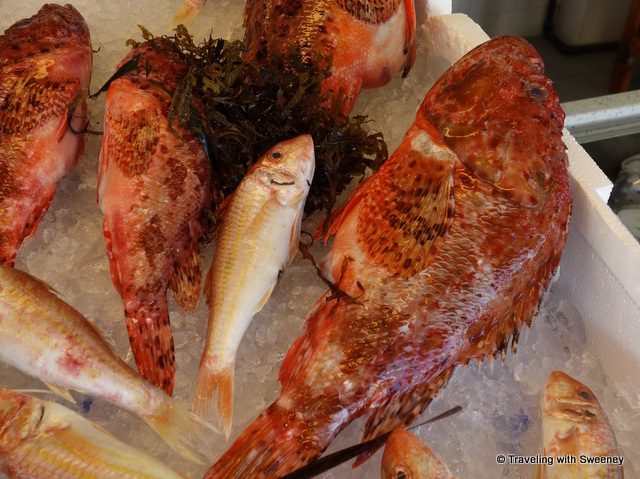 "Scorfano (Red Scorpionfish) at Pescheria dal Nonno in Triggiano, Italy"