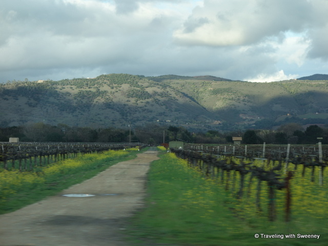 "In the Napa Valley, March 2014"