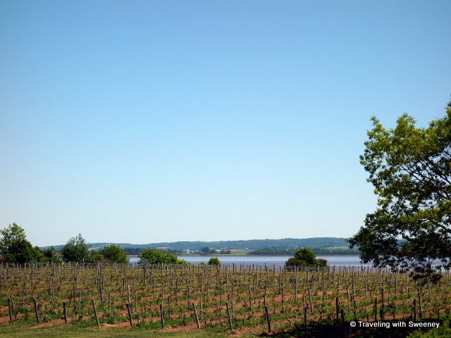 "Blomidon Estate Winery and the Minas Basin, an inlet of the Bay of Fundy"