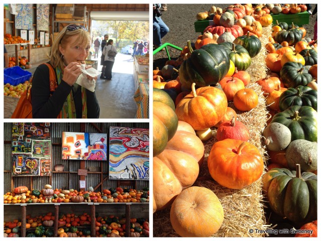"Indulging in a Hot Apple Cider donut and admiring the colorful produce of Rainbow Orchards, Camino, California"