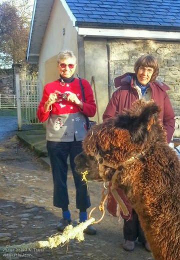 Susan Fitzgerald's mom (right) with a friend at Zwartbles Ireland farm