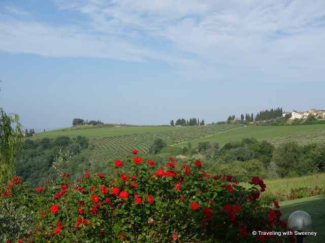 Lovely vista from La Novellina