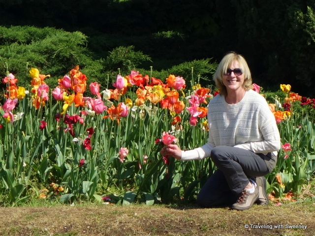 Bright, beautiful tulips at Parco Giardino Sigurta