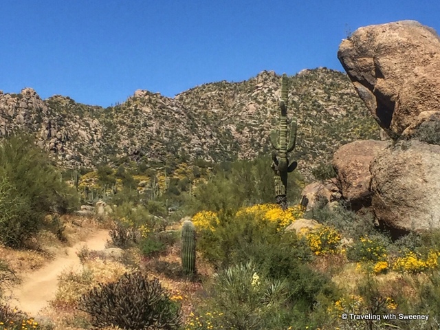 Scottsdale's McDowell Sonoran Preserve 