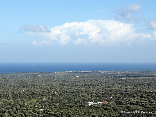 Vast expanses of olive groves to the Adriatic Sea